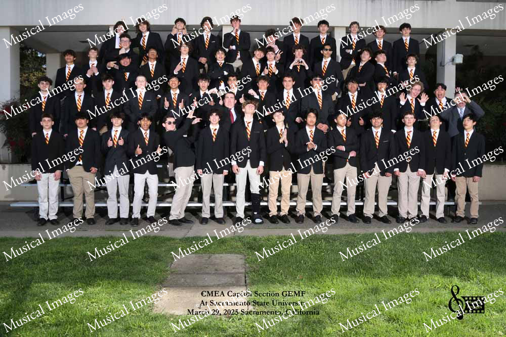 Musical Images